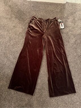 Sofia Vergara brown velvet trousers